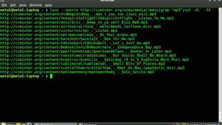 BASH Lesson 5 while loops