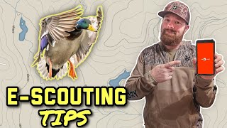 Mapping Ducks: What To Look For E-Scouting