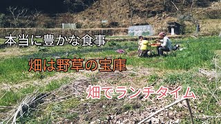 【野草採取で自給率UP!!】畑の真ん中で昼ごはん/地球の恵みに感謝する