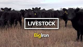 BigIron: Equipment, Real Estate, Livestock, Collector Cars