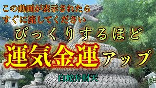 【白蛇弁財天遠隔参拝】パワースポット巡り#64