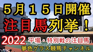 【注目馬列挙・平場予想】2022年5月15日JRA平場特別戦！各場馬場が乾いてくる？注目は千直の外枠ゲートセンス〇馬！