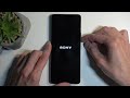 How to Hard Reset SONY Xperia 10 VI via Recovery Mode