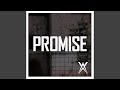 Promise