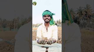 நாங்க நம்பி இருக்கிறது இந்த மண்ண தான் #vivasayam #farming #shortsvideo #ungal-vivasayi