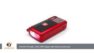 Mifine Portable FM Radio Speaker Music Player with Micro SD/TF Card/USB Disk Input,Clock Function