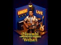 Muumbi wehari _ Ambassador Freeman Shanganya 