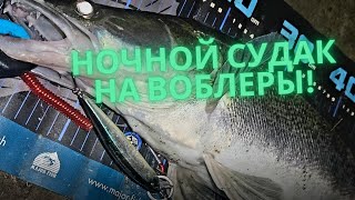 Ночной судак на воблеры