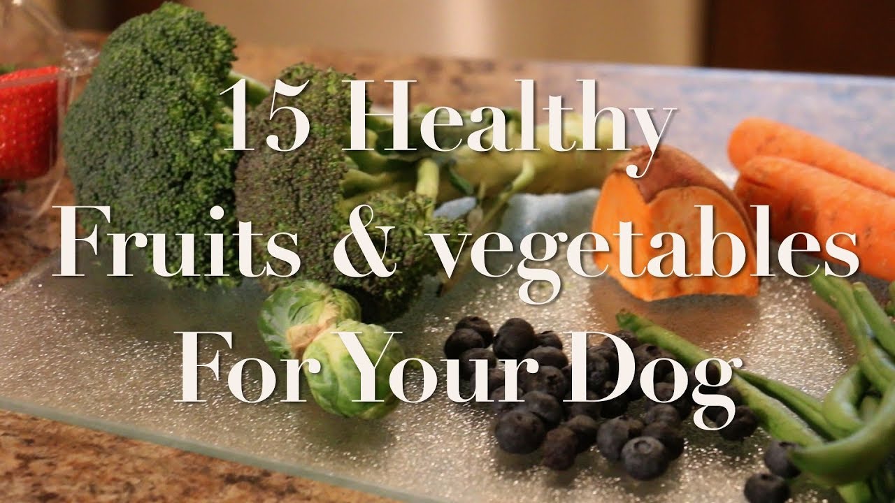 15 Fruits And Vegetables You Can Feed Your Dog - YouTube