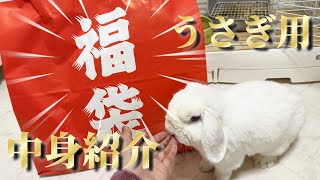 【大満足！】うさぎ用福袋の中身を紹介🎵ペット用福袋ってこんな感じ