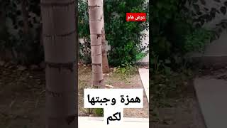 فرصة لا تعوض