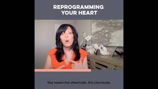 THIS IS CRAZY/HEALING YOUR HEART OF CHILDHOOD TRAUMA/LISA ROMANO
