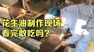 山东现榨花生油还敢吃吗？内行人实拍全内幕，看完别在上当了！【农村金龙】