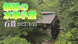 新緑の水車小屋石畳　2023/4/21 愛媛県内子町