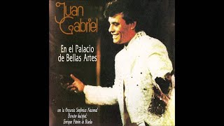Juan Gabriel - En el Palacio de Bellas Artes - Mejores Canciones Mix