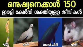 ലോകത്ത് ഏറ്റവുമധികം കേൾവി ശക്തിയുള്ള 5 ജീവികൾ | 5 Most Hearing Creatures in the World | Malayalam