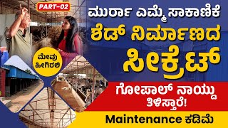 How To Construct a Cow Shed? Dairy Farming in Kannada | Murrah Buffalo Farming | ಮುರ್ರಾ ಎಮ್ಮೆ