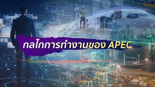 APEC EP9_กลไกการทำงานของ APEC