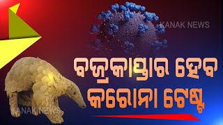 Pangolin Rescued From Quarantine Centre In Athagarh To Be Tested For COVID-19