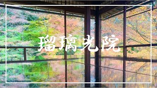 【京都・瑠璃光院】SNSで話題沸騰！机の反射が美しい瑠璃光院！