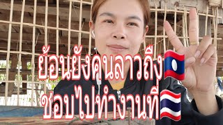 ย้อนหยังคนลาว🇱🇦ถืงชอบไปทำงานที่ไทย🇹🇭.?