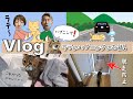 ★Vlog★年始の大ハプニング・・・ラテ行方不明のお話