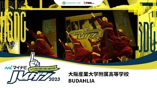 【LARGE部門】BUDAHLIA（大阪産業大学附属高等学校）/マイナビハイダン 2023 WEST vol.3