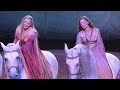 cavalia a magical encounter highlights