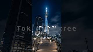 東京スカイツリー / 押上駅前自転車駐車場 屋上 / Tokyo Skytree / #東京スカイツリー #tokyoskytree #東京 #押上