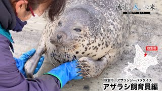 【流氷、人、未来　アザラシ飼育員編】