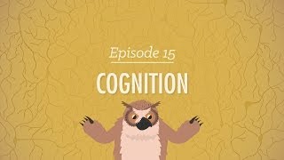 Cognition - How Your Mind Can Amaze and Betray You: Crash Course Psychology #15