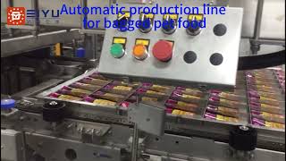 Automatic production line for bagged pet food