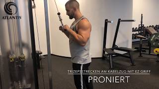 Armtraining | Trizepstraining: Trizepsstrecken am Kabelzug mit EZ Griff, proniert