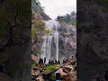 BIGGEST WATER FALLS TAMIL NADU❤️ SO BEAUTIFUL 🥰 #shorts #youtube #trending