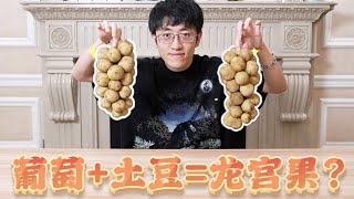 【大祥哥來了】試吃國內99%的人沒吃過的龍宮果，好吃嗎？