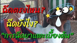 ฉีดยาแพะยังไง ตรงจุดไหนดีน่ะ? | By หนุ่มโคราช