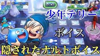 DQライバルズ 少年テリー(竹内順子) ナルトの口癖ボイス有！