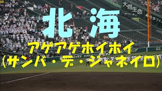 【2023夏の甲子園】北海『アゲアゲホイホイ』(サンバ・デ・ジャネイロ) サヨナラ勝利時の応援