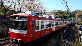 京急800形・桜・京急田浦駅 Series 800 of Keikyu, Cherry Blossoms and Keikyu Taura Station 2019年4月