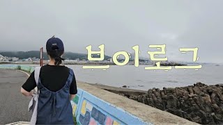 일상 브이로그 vlog : : 다람쥐 쳇바퀴속 긁어모은 일상모음 , 울산 중식맛집 추천, 울산카페 추천 ☕️, 맥도날드 신상 고추크림치즈버거 🍔