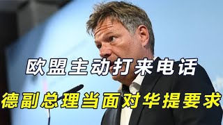 中方反制后，欧盟打来电话，德副总理当面提要求，中方说了三句话