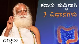 ಕರುಳನ್ನು ಶುದ್ಧವಾಗಿಡಲು 3 ವಿಧಾನಗಳು | Colon Health | Sadhguru Kannada