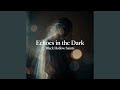Echoes in the Dark