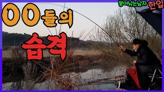 붕어낚시 #50-경남사천 붕어가 계속나온다 월척도 나와주니 기분이 좋다!|붕어낚시|붕어낚는남자|