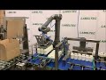 LABELTEC - Case Packing with Robot