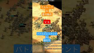 【AoE2DE】大激戦！大群の激突💥💥どっちが勝つ！？【配信切り抜き】