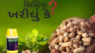 ॥ મગફળી ની કાળીફુગ નુ લાંબા ગાળુ નુ નિયંત્રણ એટલે સિસ્ટીવા ॥