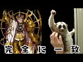 【イドラ】アストライア［ＥＸ］解説：加減を忘れたスカディ的な何か【ゆっくり】