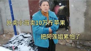 外卖小哥助农即将结束，卖了10万斤苹果，把阿莲姐累怕了【外卖骑行侠】