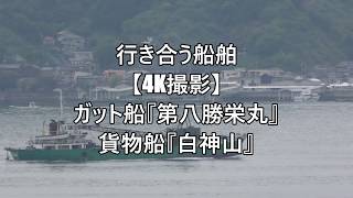 行き合う船舶【4K撮影】ガット船『第八勝栄丸』貨物船『白神山』